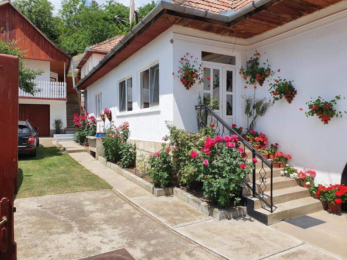 ルメテア Rozsa Panzio Bed & Breakfast エクステリア 写真